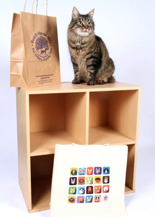 Beech House Vets - 5310